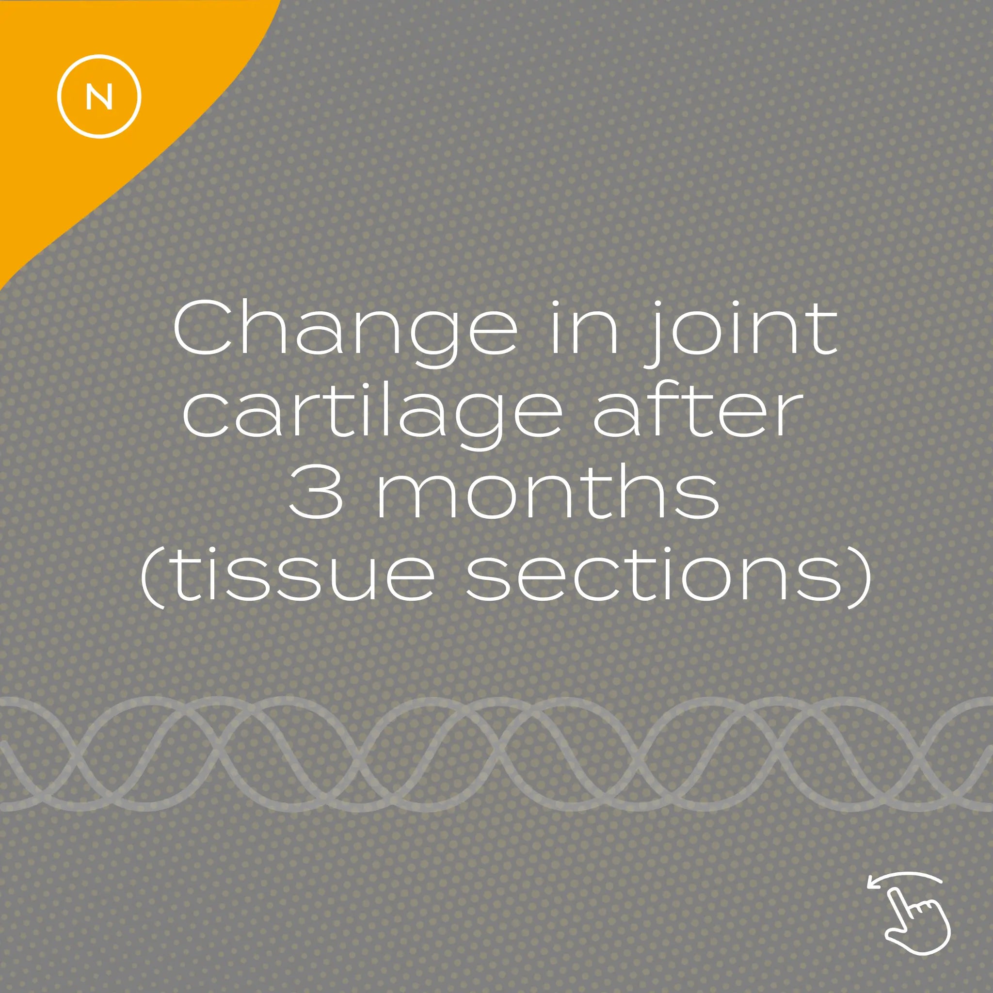 08 joint cartilage change text.jpg 08 joint cartilage change text.jpg