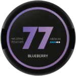 77 blueberry medium 1.webp