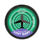 airplanemodemaxpolarmint auvisibleimage1.jpg