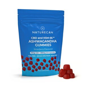 cbdandashgummiespouch 1.jpg