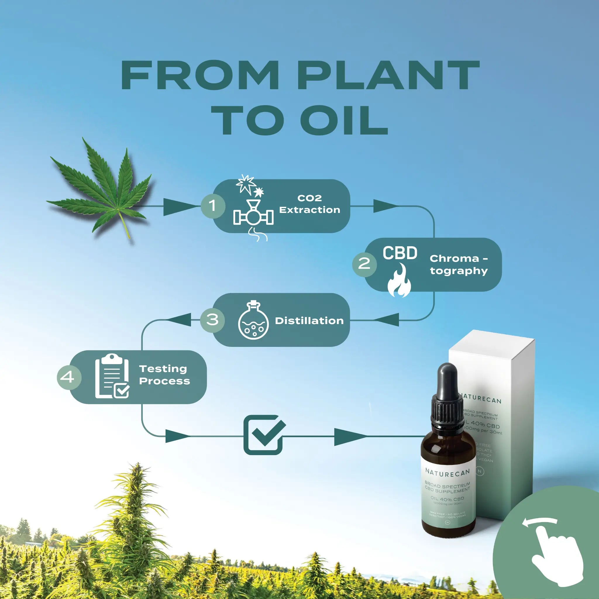 from plant to oil 19672c45 f0df 4f10 9417 2e4455d73482.jpg from plant to oil 19672c45 f0df 4f10 9417 2e4455d73482.jpg