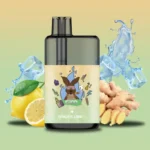 ginger lime vape.webp