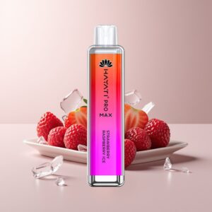 hayati pro max 4000 strawberry raspberry ice rechargeable xfvt5372.jpg