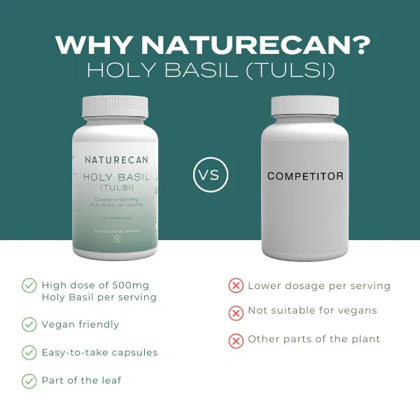 holybasilcompetitor 600x600socialtile.pdf.jpg holybasilcompetitor 600x600socialtile.pdf.jpg