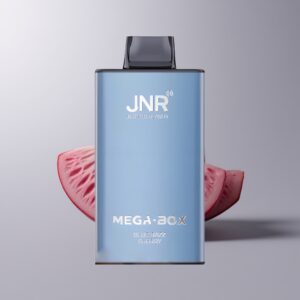 jnr mega box 25000 blue razz cherry dual mesh xfvt5383.jpg
