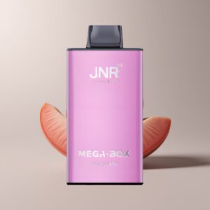 jnr mega box 25000 juicy peach dual mesh xfvt51374.jpg