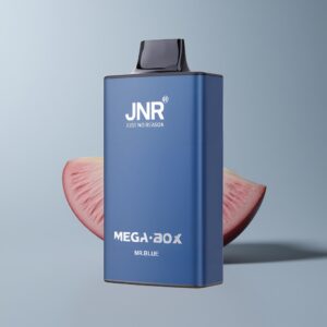 jnr mega box 25000 mr blue dual mesh xfvt5755.jpg