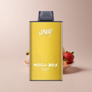 jnr mega box 25000 strawberry banana type c xfvt5409.jpg