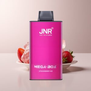 jnr mega box 25000 strawberry ice dual mesh xfvt5907.jpg