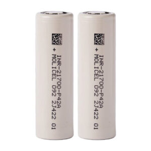 molicelp42a4200mah21700lithiumbattery dual.jpg