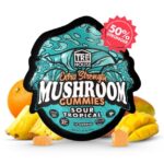 sour tropical magic mushroom gummies – orange flavour.jpg