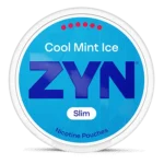 cool mint ice zyn.webp