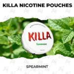 killa nicotine spearmint.webp