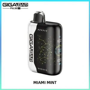 miamimint 600x600 1.webp