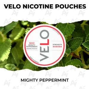 velo nicotine pouches mighty peppermint.webp