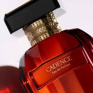 web feed 04022026 cadence skinfluence ar studio aurelia cordiez2.jpg