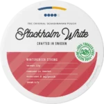 wintergreen strong topview e9d25731.webp