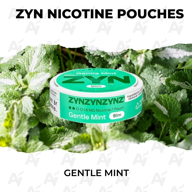 zyn nicotine pouches gentle mint 1.jpg zyn nicotine pouches gentle mint 1.jpg